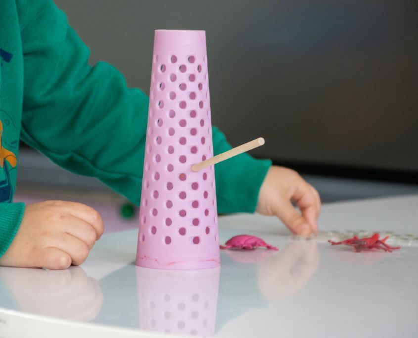 Cono rosa